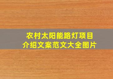 农村太阳能路灯项目介绍文案范文大全图片