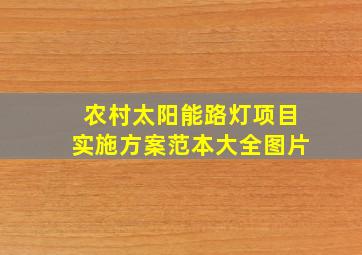 农村太阳能路灯项目实施方案范本大全图片