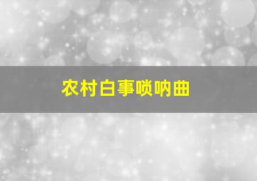 农村白事唢呐曲