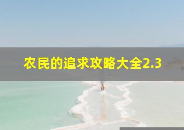 农民的追求攻略大全2.3