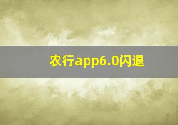 农行app6.0闪退