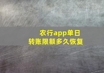 农行app单日转账限额多久恢复