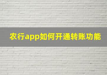 农行app如何开通转账功能