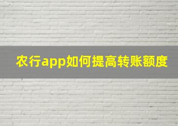 农行app如何提高转账额度