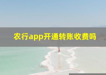 农行app开通转账收费吗