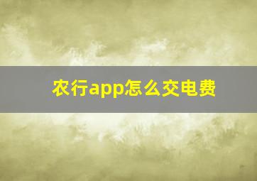 农行app怎么交电费