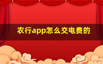 农行app怎么交电费的