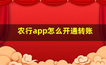 农行app怎么开通转账