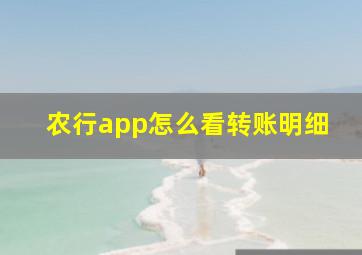 农行app怎么看转账明细