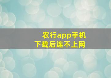 农行app手机下载后连不上网