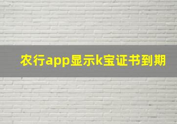 农行app显示k宝证书到期