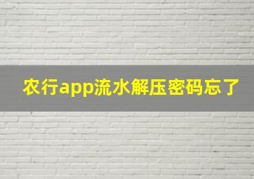 农行app流水解压密码忘了