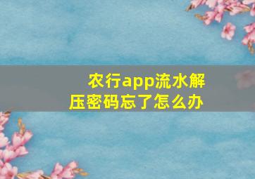 农行app流水解压密码忘了怎么办