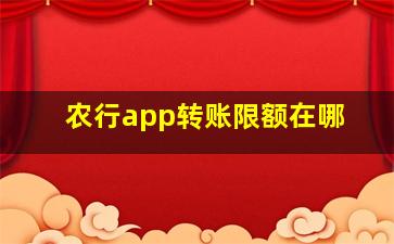 农行app转账限额在哪