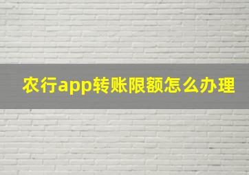 农行app转账限额怎么办理