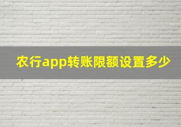 农行app转账限额设置多少