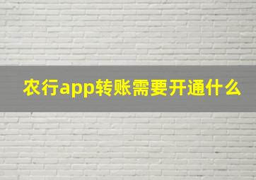 农行app转账需要开通什么