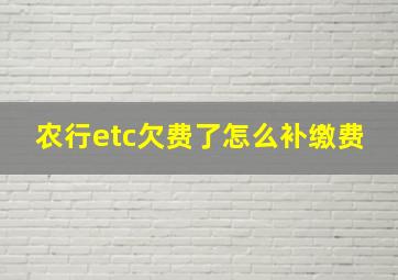 农行etc欠费了怎么补缴费