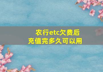 农行etc欠费后充值完多久可以用