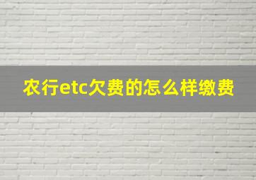 农行etc欠费的怎么样缴费