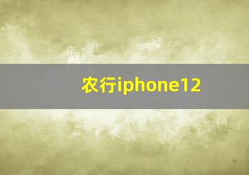 农行iphone12