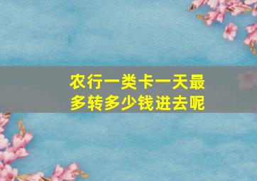 农行一类卡一天最多转多少钱进去呢