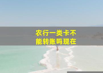 农行一类卡不能转账吗现在