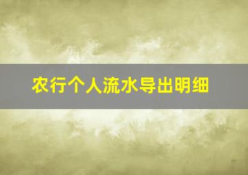 农行个人流水导出明细