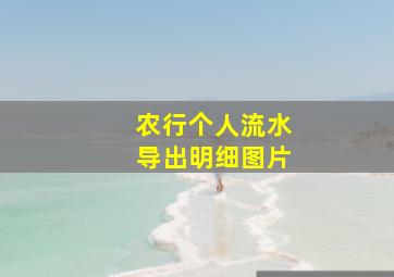 农行个人流水导出明细图片