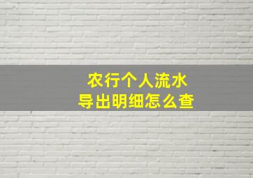 农行个人流水导出明细怎么查