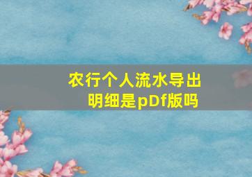 农行个人流水导出明细是pDf版吗