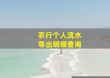 农行个人流水导出明细查询