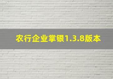 农行企业掌银1.3.8版本