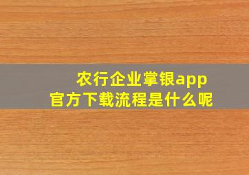 农行企业掌银app官方下载流程是什么呢