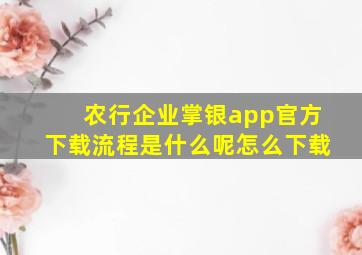 农行企业掌银app官方下载流程是什么呢怎么下载