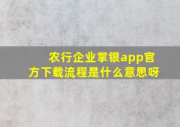 农行企业掌银app官方下载流程是什么意思呀