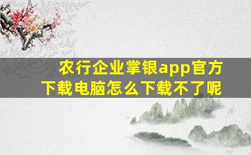 农行企业掌银app官方下载电脑怎么下载不了呢