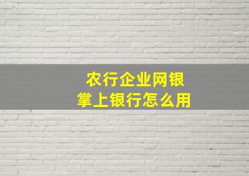 农行企业网银掌上银行怎么用