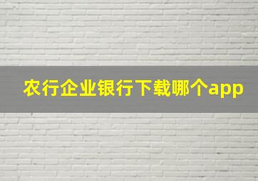 农行企业银行下载哪个app