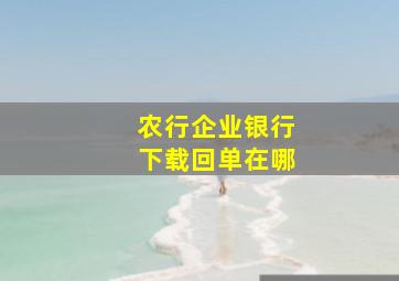 农行企业银行下载回单在哪