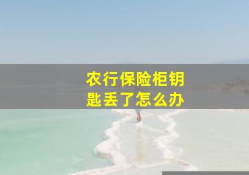 农行保险柜钥匙丢了怎么办