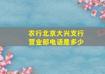 农行北京大兴支行营业部电话是多少