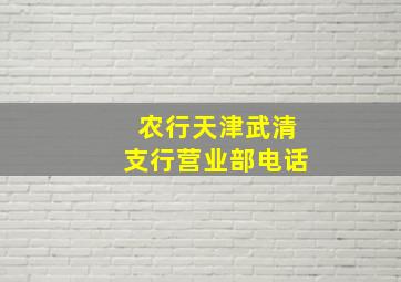 农行天津武清支行营业部电话