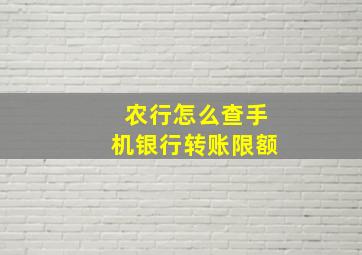 农行怎么查手机银行转账限额