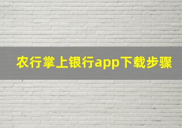 农行掌上银行app下载步骤