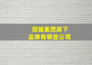 冠城集团旗下品牌有哪些公司