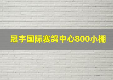 冠宇国际赛鸽中心800小棚