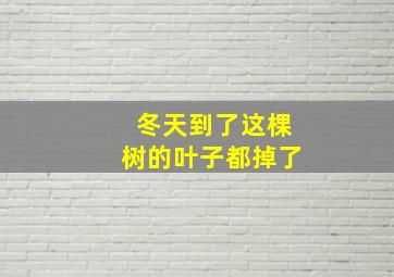 冬天到了这棵树的叶子都掉了