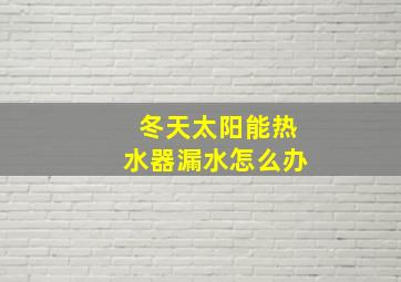 冬天太阳能热水器漏水怎么办