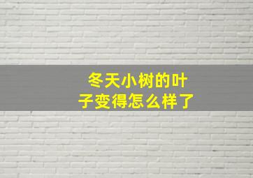 冬天小树的叶子变得怎么样了